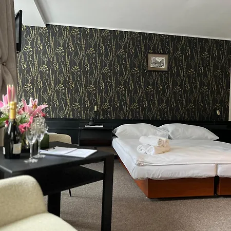 Hotel Lomnice