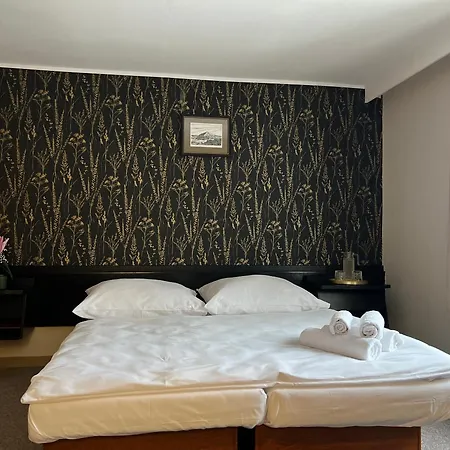 Lomnice Hotel 3*