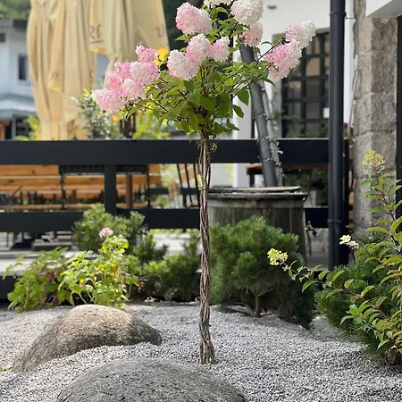 Lomnice Szálloda Špindlerŭv Mlýn