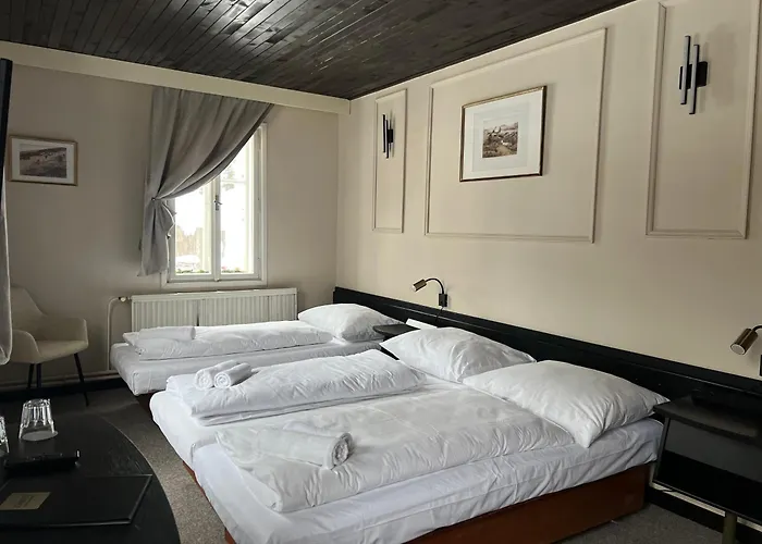 Lomnice Hotel